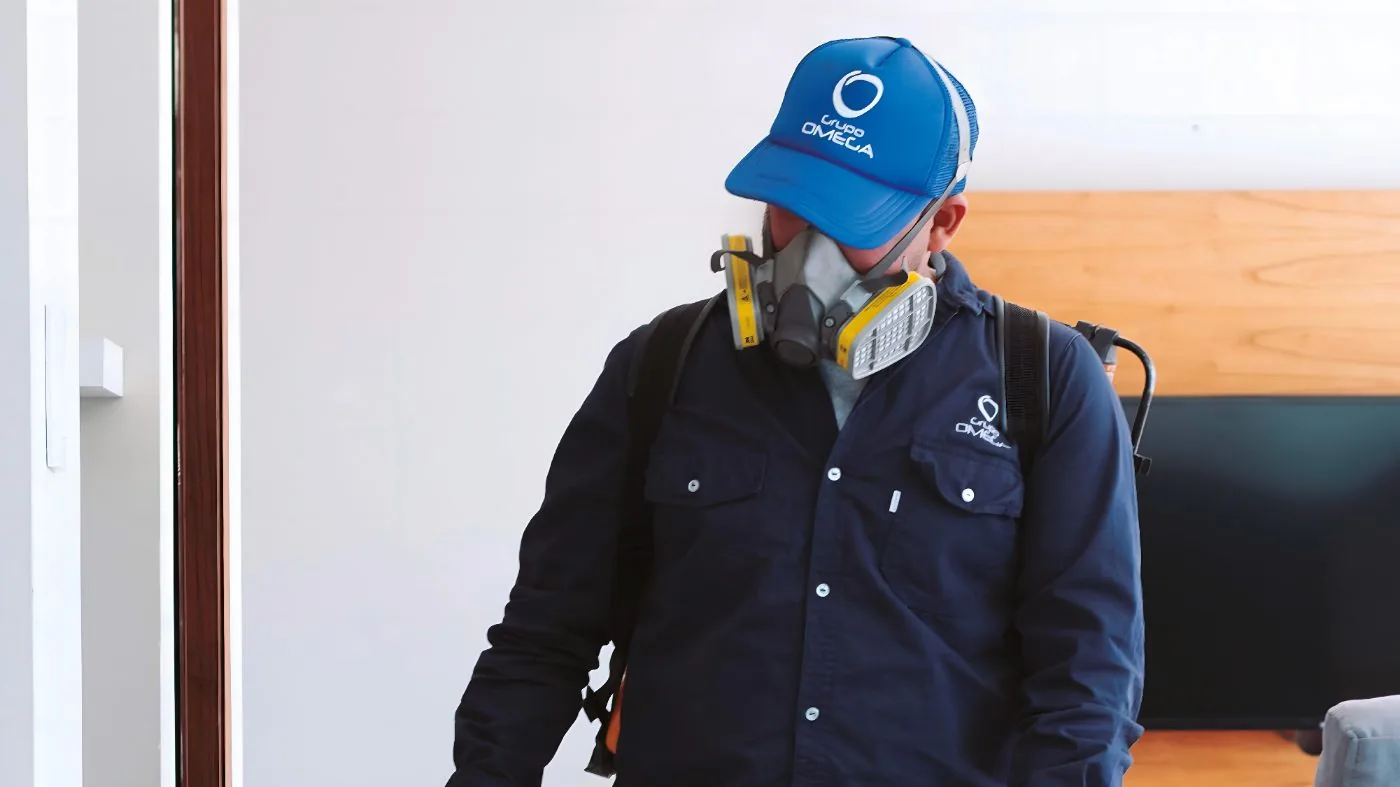Técnico Grupo Omega